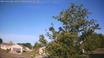 Web Cam Image - Tue, 06/16/2026 6:13am CDT