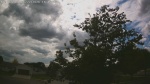 Web Cam Image - Mon, 06/22/2026 2:52pm CDT