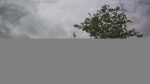 Web Cam Image - Fri, 06/26/2026 11:56am CDT