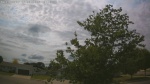 Web Cam Image - Sat, 06/27/2026 12:52pm CDT