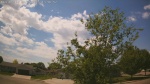 Web Cam Image - Tue, 05/26/2026 12:58pm CDT