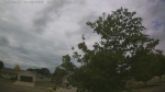 Web Cam Image - Fri, 06/26/2026 11:52am CDT