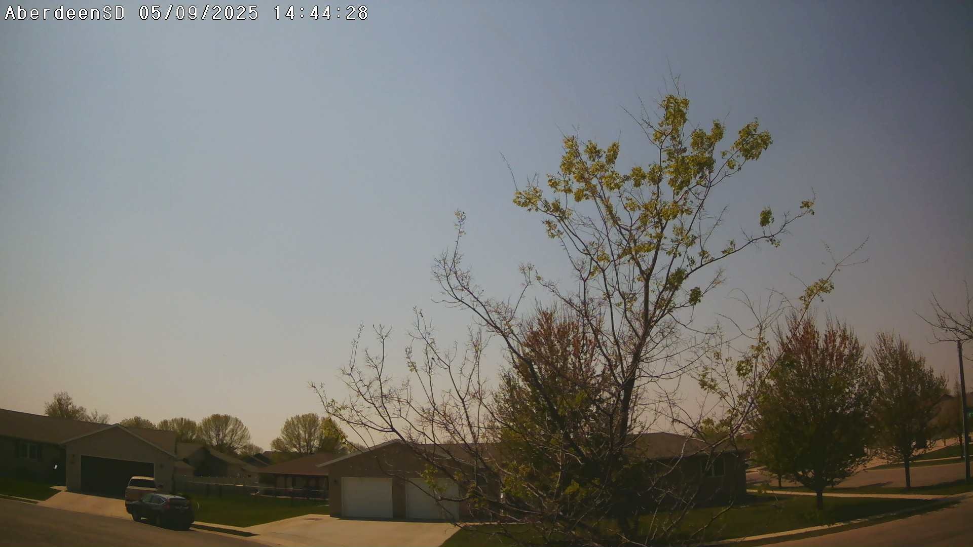 Web Cam History Image - 184