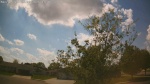 Web Cam Image - Sat, 05/23/2026 3:20pm CDT