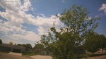 Web Cam Image - Tue, 05/26/2026 12:56pm CDT