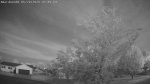 Web Cam Image - Thu, 05/28/2026 4:25am CDT