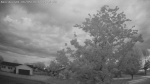 Web Cam Image - Fri, 06/05/2026 4:17am CDT