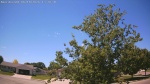 Web Cam Image - Sun, 06/14/2026 12:25pm CDT