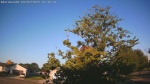 Web Cam Image - Sun, 09/07/2025 5:11am CDT
