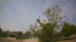 Web Cam Image - Thu, 05/21/2026 12:37pm CDT