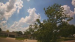 Web Cam Image - Tue, 06/02/2026 2:19pm CDT