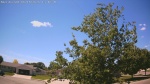 Web Cam Image - Sun, 06/14/2026 12:58pm CDT