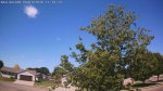 Web Cam Image - Fri, 06/19/2026 10:01am CDT