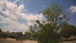 Web Cam Image - Tue, 05/26/2026 12:55pm CDT
