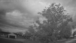 Web Cam Image - Fri, 06/05/2026 4:16am CDT