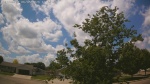 Web Cam Image - Fri, 06/05/2026 12:11pm CDT