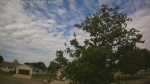 Web Cam Image - Thu, 06/18/2026 8:37am CDT