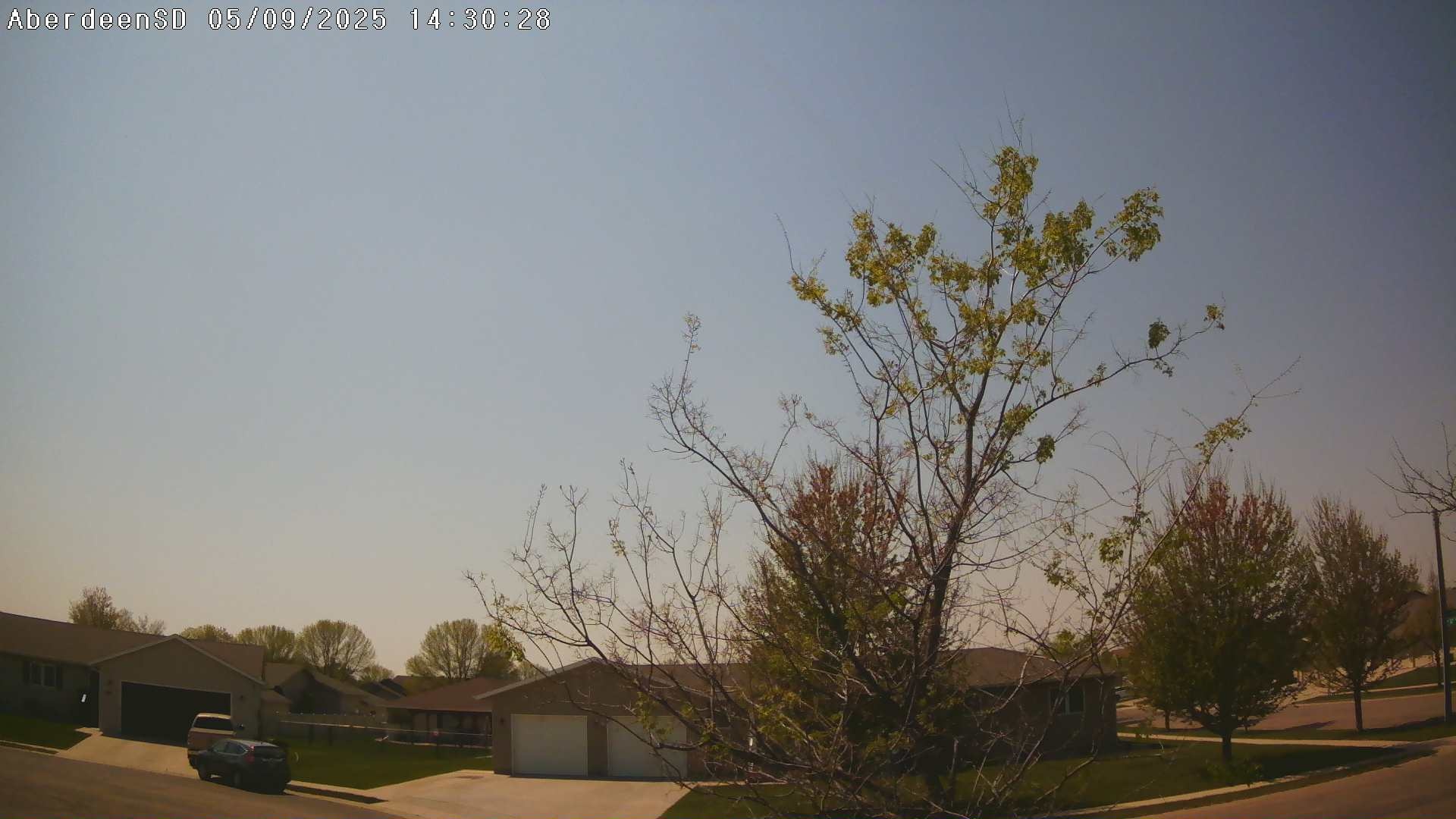 Web Cam History Image - 215