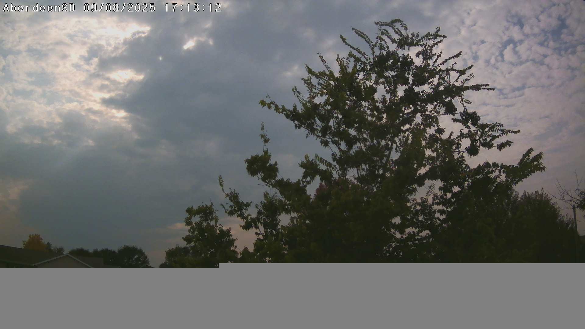 Web Cam History Image - 217