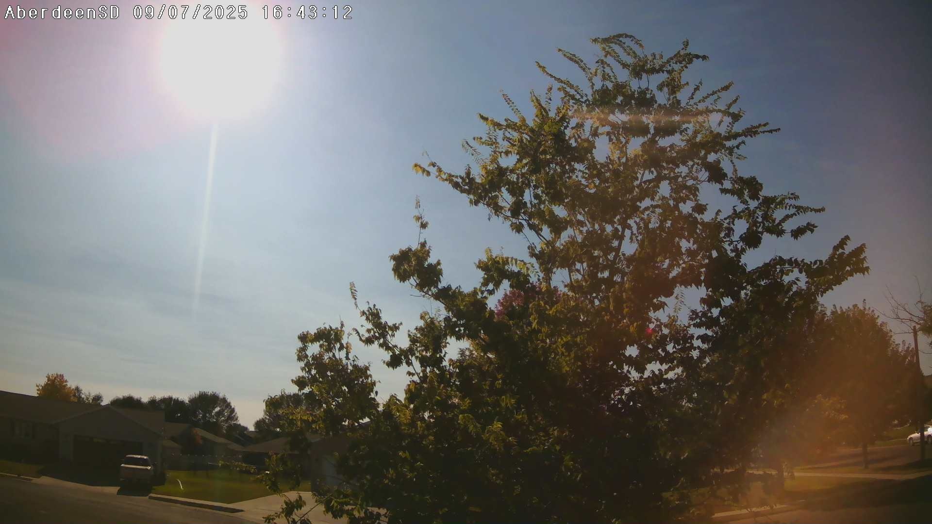 Web Cam History Image - 219