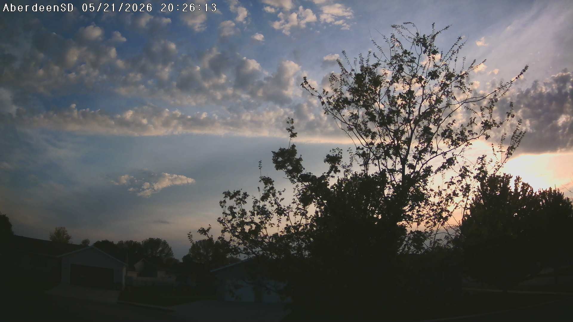 Web Cam History Image - 219