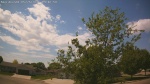 Web Cam Image - Tue, 05/26/2026 12:50pm CDT