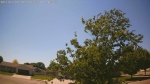 Web Cam Image - Sat, 06/06/2026 1:58pm CDT
