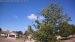 Web Cam Image - Fri, 06/19/2026 9:22am CDT