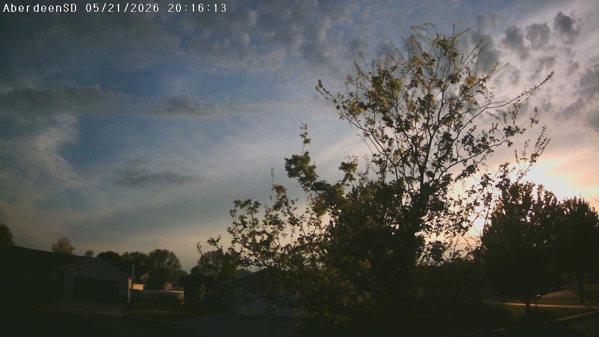 Web Cam History Image - 221