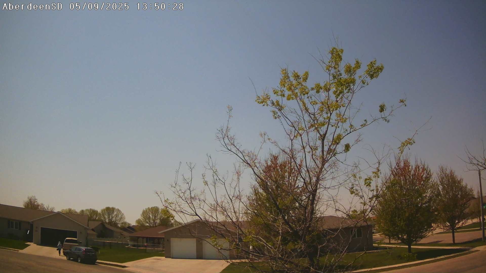 Web Cam History Image - 222