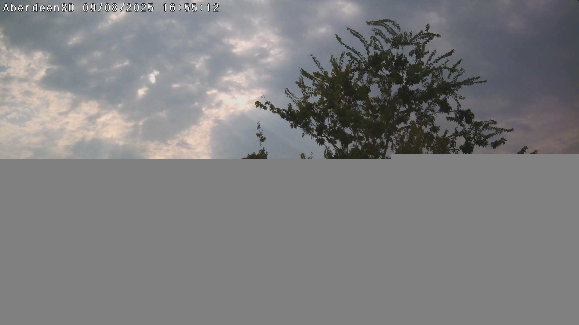 Web Cam History Image - 224