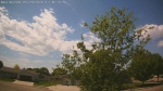 Web Cam Image - Tue, 05/26/2026 12:49pm CDT