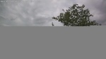 Web Cam Image - Fri, 06/26/2026 11:37am CDT