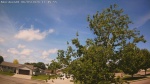 Web Cam Image - Wed, 06/03/2026 11:13am CDT