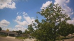 Web Cam Image - Fri, 06/05/2026 12:05pm CDT