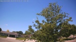 Web Cam Image - Sun, 06/14/2026 12:14pm CDT