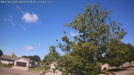 Web Cam Image - Fri, 06/19/2026 9:17am CDT