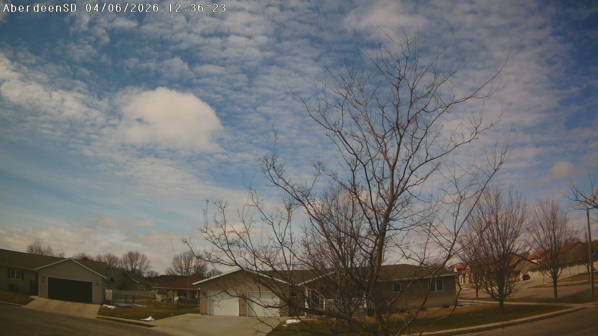 Web Cam History Image - 245