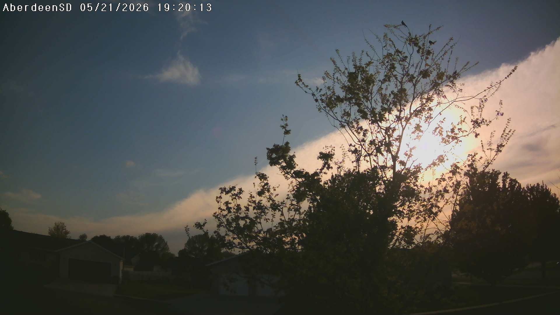 Web Cam History Image - 249
