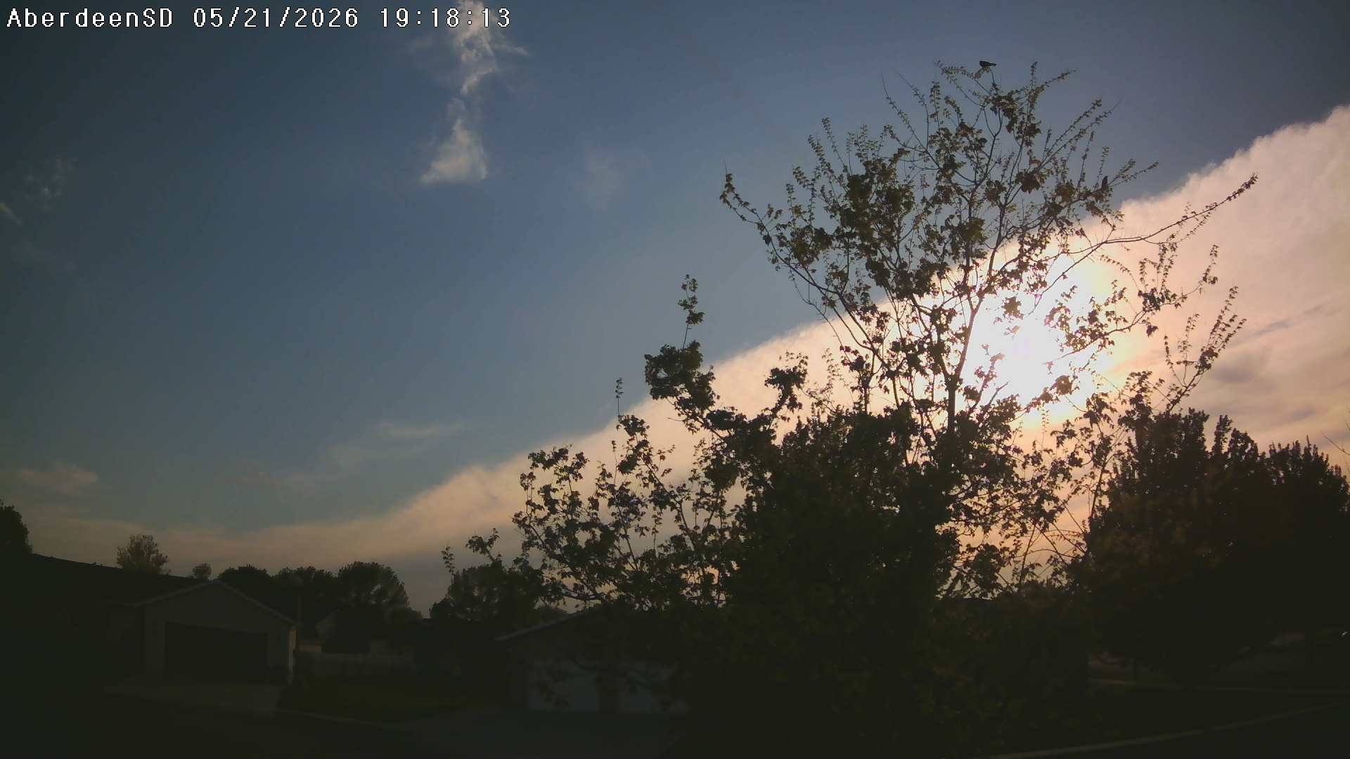 Web Cam History Image - 250