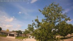 Web Cam Image - Wed, 06/03/2026 11:11am CDT