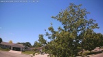 Web Cam Image - Sun, 06/14/2026 12:13pm CDT