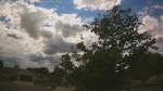 Web Cam Image - Mon, 06/22/2026 2:35pm CDT