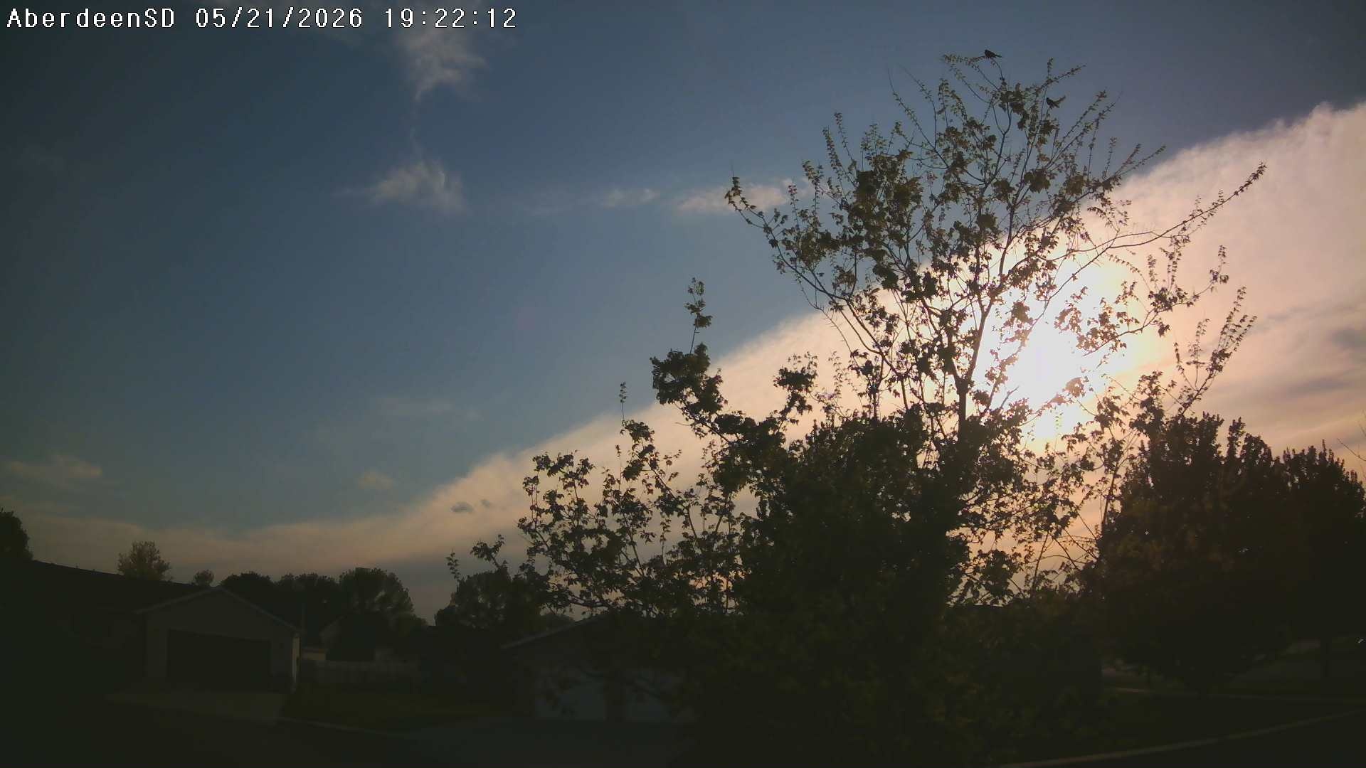 Web Cam History Image - 251