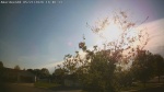 Web Cam Image - Thu, 05/21/2026 6:19pm CDT