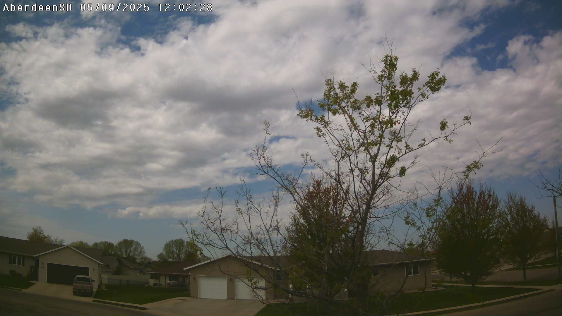 Web Cam History Image - 255