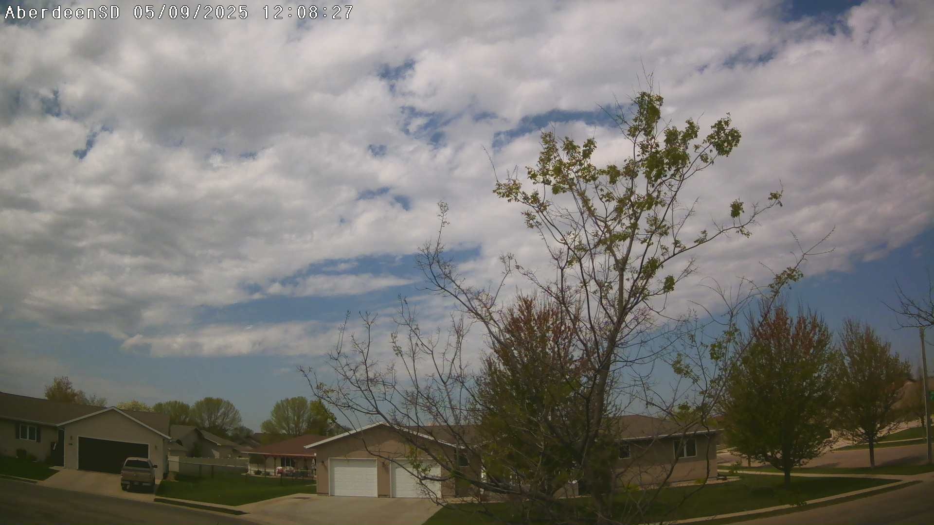 Web Cam History Image - 258