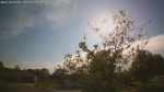Web Cam Image - Thu, 05/21/2026 6:04pm CDT