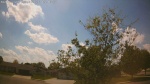 Web Cam Image - Sat, 05/23/2026 3:07pm CDT