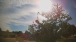 Web Cam Image - Mon, 06/01/2026 5:31pm CDT